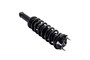 Suspension Strut and Coil Spring Assembly 1345881 - left view