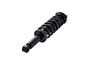 Suspension Strut and Coil Spring Assembly 1345881 - right view