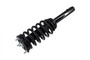 Suspension Strut and Coil Spring Assembly 1345938 - left view