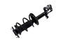 Suspension Strut and Coil Spring Assembly 2333412L - left view