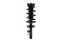Suspension Strut and Coil Spring Assembly 2337006L - front view