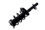 Suspension Strut and Coil Spring Assembly 2337006L - bottom view