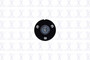 Suspension Strut and Coil Spring Assembly 2345815 - right view