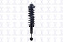 Suspension Strut and Coil Spring Assembly 2345984R - front view