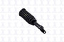 Suspension Strut and Coil Spring Assembly 2345556 - angled view