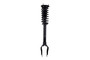 Suspension Strut and Coil Spring Assembly 2335883L - front view