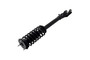 Suspension Strut and Coil Spring Assembly 2335883L - left view