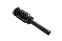 Suspension Strut and Coil Spring Assembly 2337097 - top view