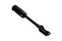 Suspension Strut and Coil Spring Assembly 2335883R - top view