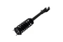 Suspension Strut and Coil Spring Assembly 2335883R - left view