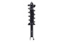 Suspension Strut and Coil Spring Assembly 2345793L - front view