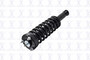 Suspension Strut and Coil Spring Assembly 2345455 - left view