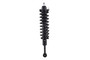 Suspension Strut and Coil Spring Assembly 2345566R - front view