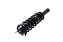 Suspension Strut and Coil Spring Assembly 2345881 - bottom view