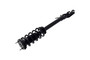 Suspension Strut and Coil Spring Assembly 2355065R - right view