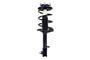 Suspension Strut and Coil Spring Assembly 3331623L - front view