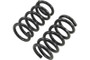 Belltech Coil Spring Set For 99-04 Chevy S10 Extreme 1In Drop | 4227