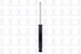 Shock Absorber 346087 - front view