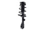 Suspension Strut and Coil Spring Assembly 4331660L - bottom view