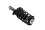 Suspension Strut and Coil Spring Assembly 5335576 - left view