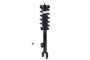 Suspension Strut and Coil Spring Assembly 6345799 - bottom view