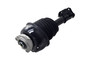 Air Suspension Strut Assembly 92012 - bottom view