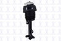 Air Suspension Strut Assembly 92016 - front view