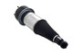 Air Suspension Strut Assembly 92039 - top view