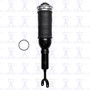 Air Suspension Strut Assembly 99001 - front view
