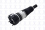 Air Suspension Strut Assembly 99010 - bottom view