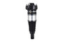 Air Suspension Strut Assembly 93021 - front view