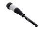 Air Suspension Strut Assembly 92047 - top view
