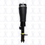 Air Suspension Strut Assembly 99041 - front view