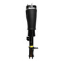 Air Suspension Strut Assembly 99041 - top view