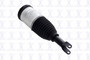 Air Suspension Strut Assembly 93001 - top view