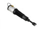 Air Suspension Strut Assembly 99016 - top view