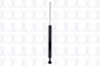 Shock Absorber DT341979 - front view