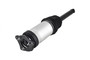 Air Suspension Strut Assembly 93025 - left view