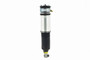 Air Suspension Strut Assembly 99019 - top view