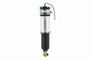 Air Suspension Strut Assembly 99021 - top view