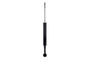 Shock Absorber DT346115 - front view