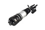 Air Suspension Strut Assembly 99052 - left view