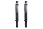 Shock Absorber and Coil Spring Assembly SC00024 - bottom view