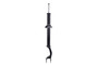 Suspension Strut DT355174R - front view