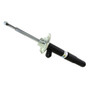 Suspension Strut Assembly 22-218919
