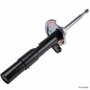 Suspension Strut Assembly 22-184306