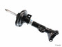 Suspension Strut Assembly 22-196019