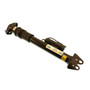 Air Shock Absorber 24-144919