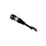 Air Suspension Strut 44-257200