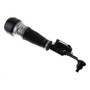 Air Suspension Strut 44-110475